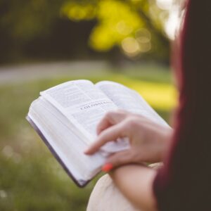 Basic Principles of Bible Study