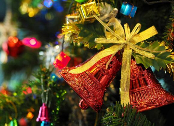 Christmas Bible Questions and Insights