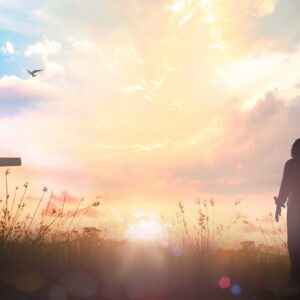 Understanding the Convicted Heart